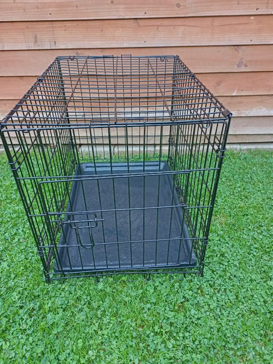 Small Dog travel crate.