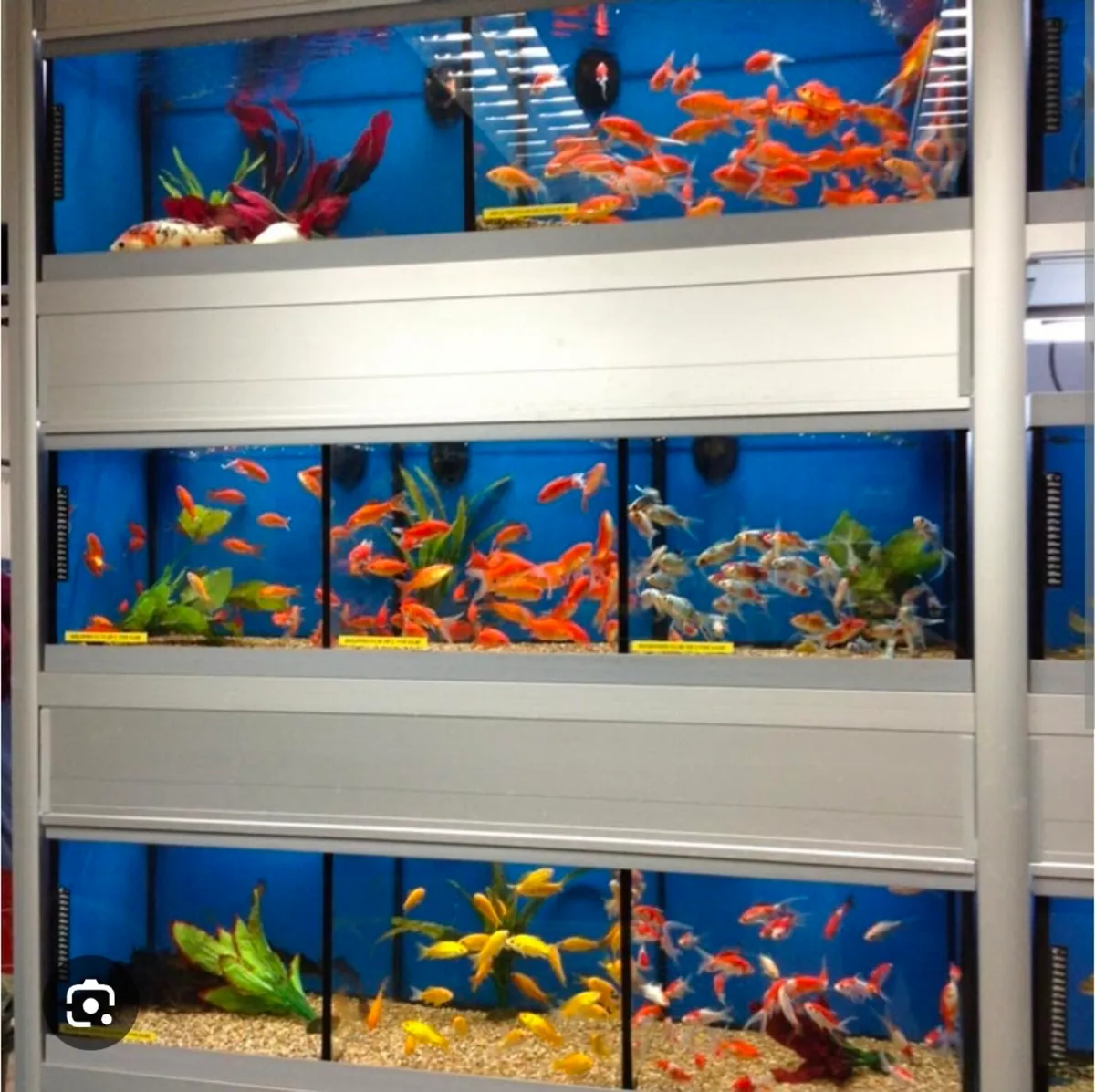 Shop Fish Tanks