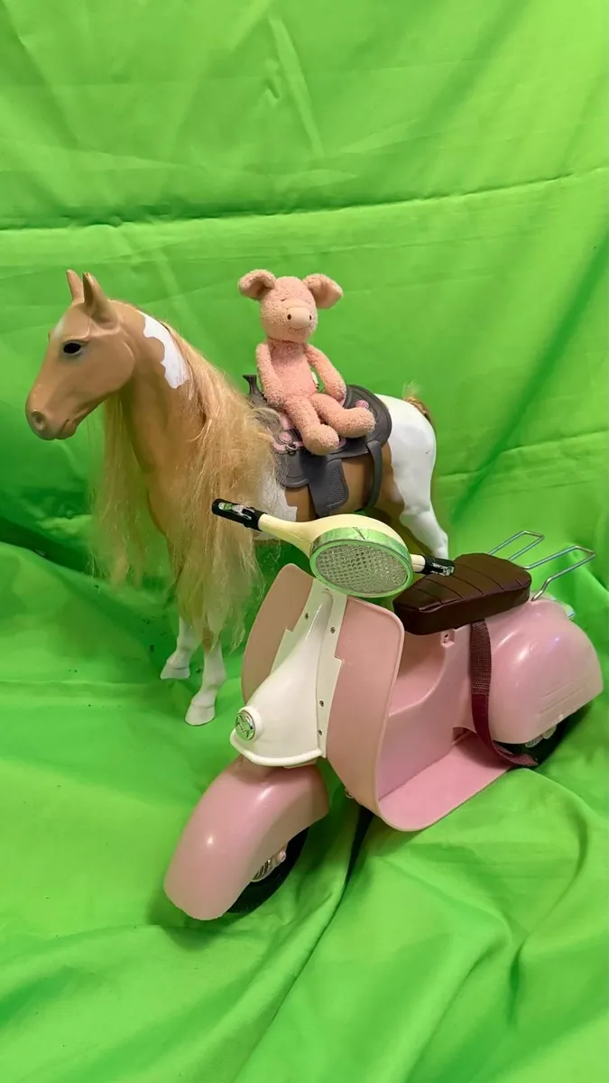 Our Generation doll sooter & horse bundle