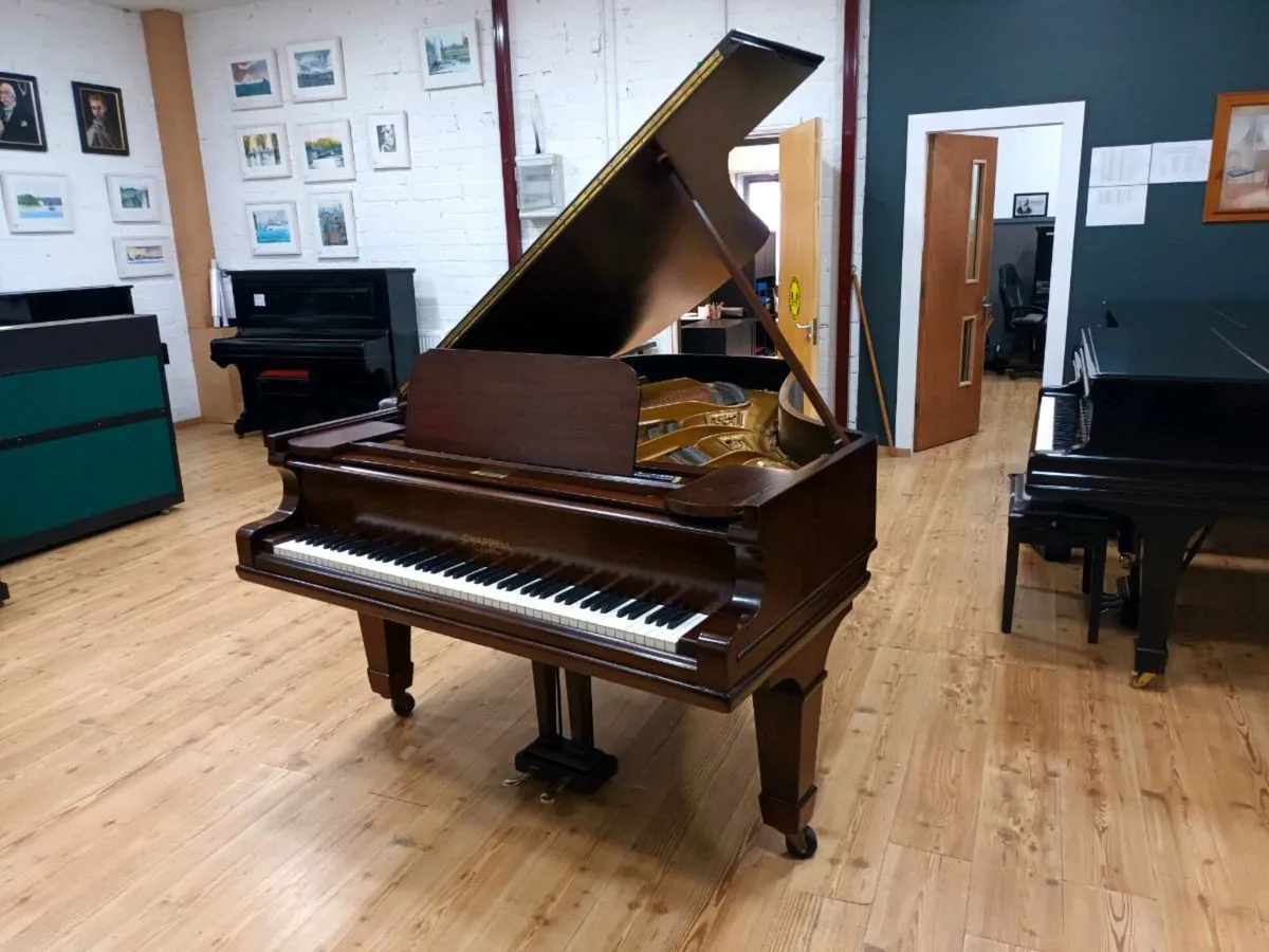 BIG SALE | Stunning Restored Grand Piano