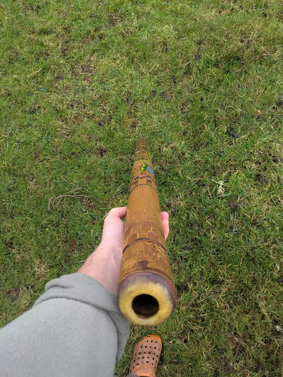 Bamboo didgeridoo for sale