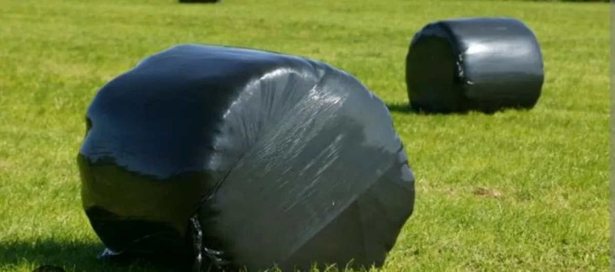 Silage bales