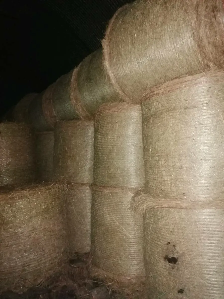 Hay for sale, saved without rain, July 25